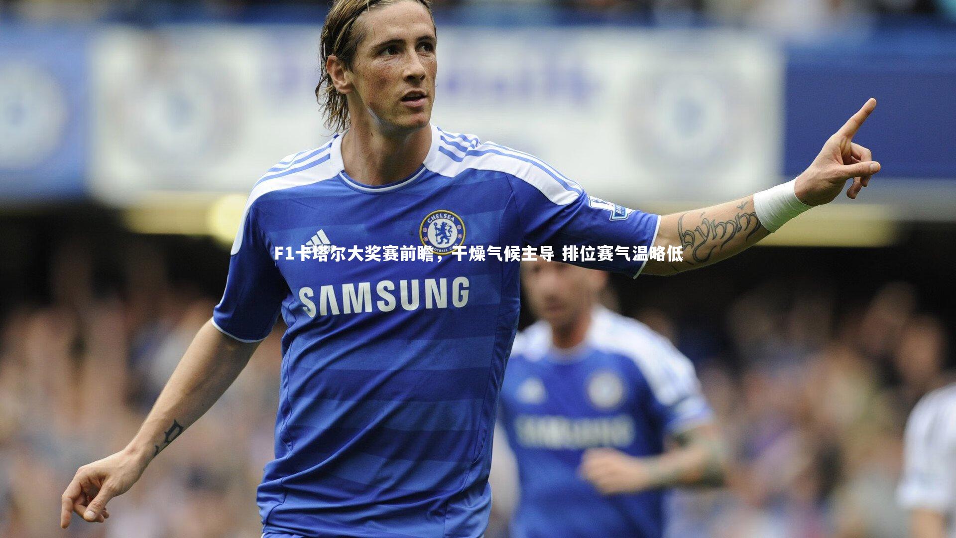 F1卡塔尔大奖赛前瞻，干燥气候主导 排位赛气温略低